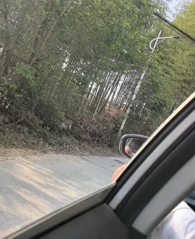 武汉找伪娘tscd,带健康证。基本每周都能合作。