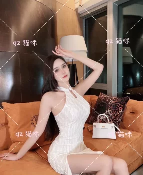 全国高端外围大圈经纪人